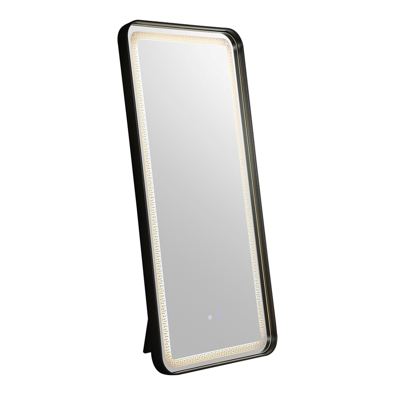 Furniture of America Eirlys Metal Bluetooth LED Lights Standing Mirror in Black