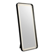 Furniture of America Eirlys Metal Bluetooth LED Lights Standing Mirror in Black