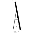 Furniture of America Eirlys Metal Bluetooth LED Lights Standing Mirror in Black
