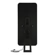 Furniture of America Eirlys Metal Bluetooth LED Lights Standing Mirror in Black