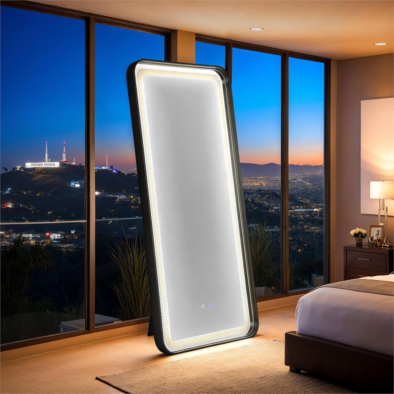 Furniture of America Eirlys Metal Bluetooth LED Lights Standing Mirror in Black