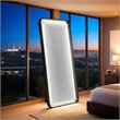 Furniture of America Eirlys Metal Bluetooth LED Lights Standing Mirror in Black