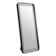 Furniture of America Eirlys Metal Bluetooth LED Lights Standing Mirror in Black