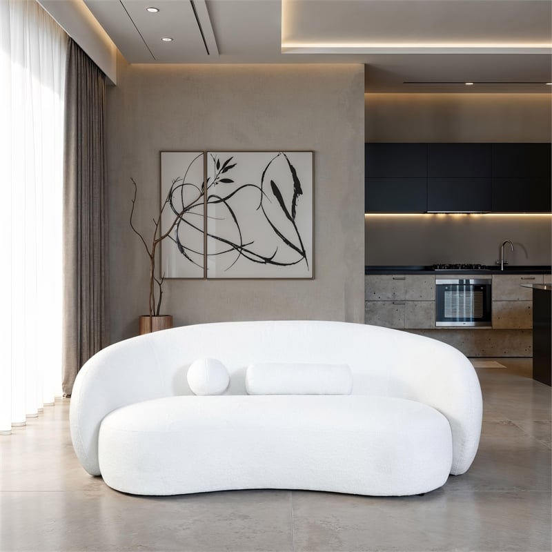 Furniture of America Sylin Chenille and Wood Sculpted Silhouette Sofa in White