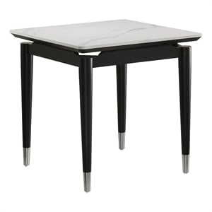 Furniture of America Miranda Sintered Stone Top and Wood End Table in Black