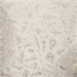 Furniture of America Ranera Fabric Flare Channeled Arms Sofa in Beige