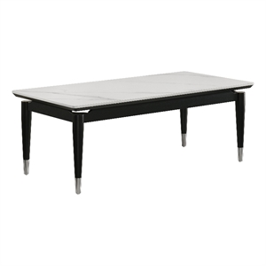Furniture of America Miranda Sintered Stone Top and Wood Coffee Table in Black
