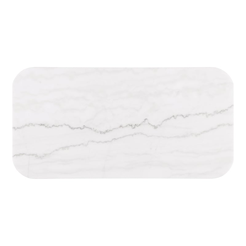 Furniture of America Beryl Genuine Marble Top and Wood Coffee Table in Black