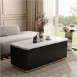 Furniture of America Beryl Genuine Marble Top and Wood Coffee Table in Black