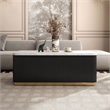 Furniture of America Beryl Genuine Marble Top and Wood Coffee Table in Black