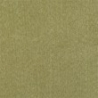 Trent Home Contemporary Solid Wood Dining Chair in Acid Green