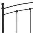 Trent Home Transitional Sanford King Sized Decorative Metal Bed in Matte Black