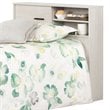 South Shore Fynn Twin Bookcase Headboard in Winter Oak