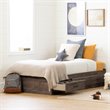 South Shore Ulysses Twin Kids Mates Platform Bed in Fall Oak