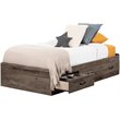 South Shore Ulysses Twin Kids Mates Platform Bed in Fall Oak