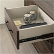Helsy 2-Drawer Credenza with Doors-Natural Walnut-South Shore-Furniture