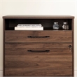 Helsy 2-Drawer File Cabinet-Natural Walnut-South Shore