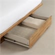 South Shore Cavalleri Platform Bed with Drawer Full/Queen Nordik Oak