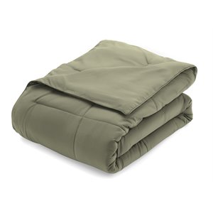 iEnjoy Home Twin All Season Premium Down Alternative Comforter in Sage Green