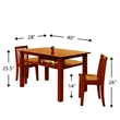 Athena Newton Kid's 3 Piece Table and Chair Set
