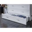 Catania Modern Wood Full Murphy Bed Chest with Mattress in White