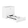 Catania Modern Wood Twin XL Murphy Bed Chest with Mattress in White
