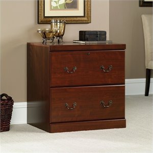 Catania 2-Drawer Transitional Engineered Wood File Cabinet in Classic Cherry