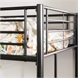 Catania Modern / Contemporary Metal Twin Loft Bunk Bed in Black