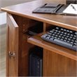 Catania Modern / Contemporary Computer Desk in Brushed Maple Finish