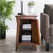 Catania Modern / Contemporary Mission Cabinet Wood End Table in Brown/Russet