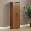 Catania Modern / Contemporary Storage Cabinet in Sienna Oak Finish