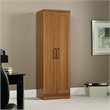 Catania Modern / Contemporary Storage Cabinet in Sienna Oak Finish