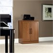 Catania Adjustable Shelf Traditional Engineered Wood Cabinet in Sienna Oak