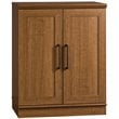 Catania Adjustable Shelf Traditional Engineered Wood Cabinet in Sienna Oak