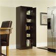 Catania Traditional Engineered Wood Storage Cabinet in Dakota Oak