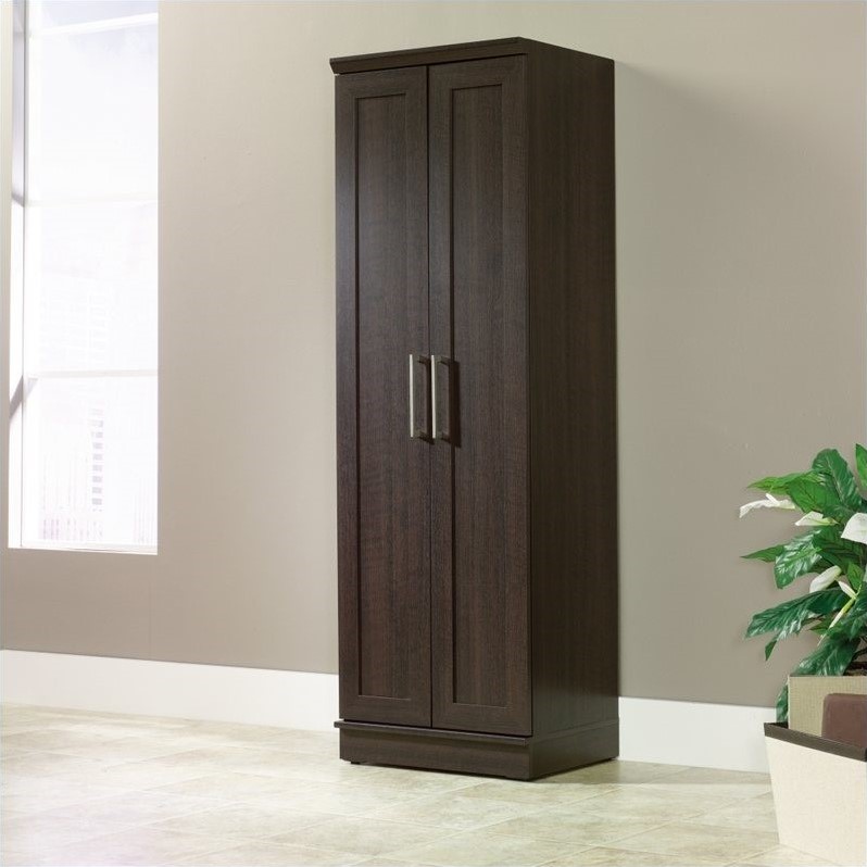 Catania Traditional Engineered Wood Storage Cabinet in Dakota Oak