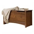 Catania Farmhouse Engineered Wood Storage Chest in Oiled Oak