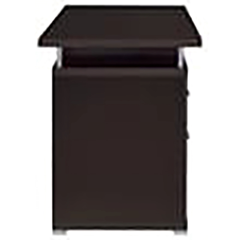 Bowery Hill 2-Drawer Contemporary Wood Computer Desk in Cappuccino