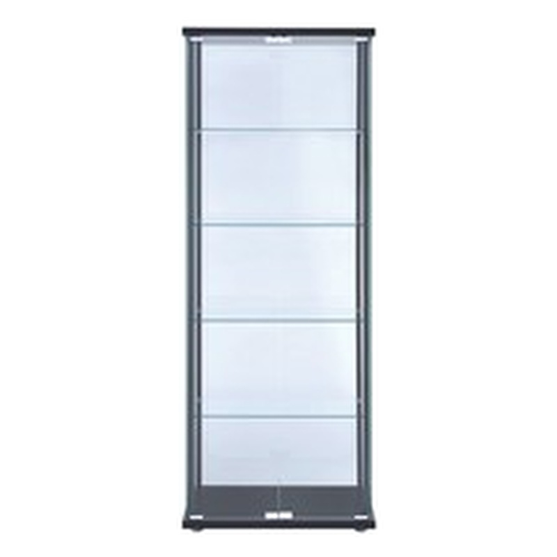 Bowery Hill 5 Shelf Contemporary Glass Wood Curio Cabinet in Black