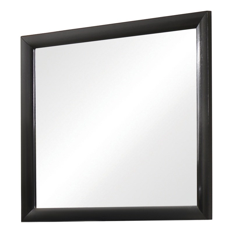 Bowery Hill Contemporary Rectangular Wood Mirror in Black