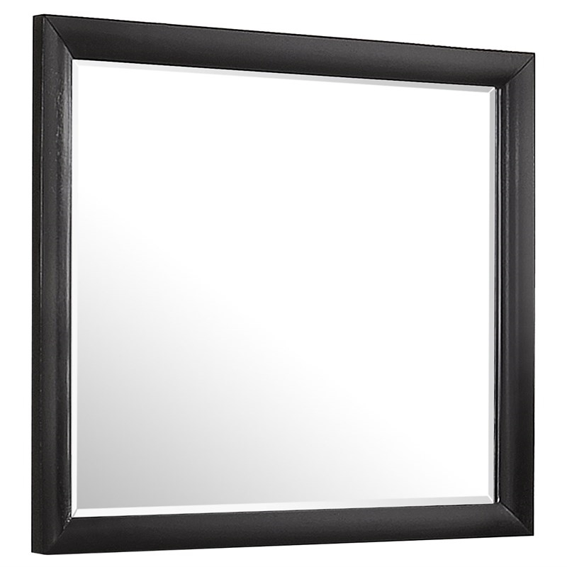 Bowery Hill Contemporary Rectangular Wood Mirror in Black