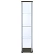 Bowery Hill Contemporary Espresso 4 Shelf Glass Curio Cabinet