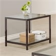 Bowery Hill Contemporary Metal End Table with Glass Top in Black