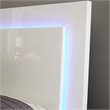 Bowery Hill Wood Eastern King LED Panel Bed in White High Gloss
