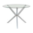 Bowery Hill Contemporary Round Glass Top Dining Table in Chrome