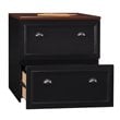 Bowery Hill 2 Drawer Lateral File Cabinet in Black and Cherry
