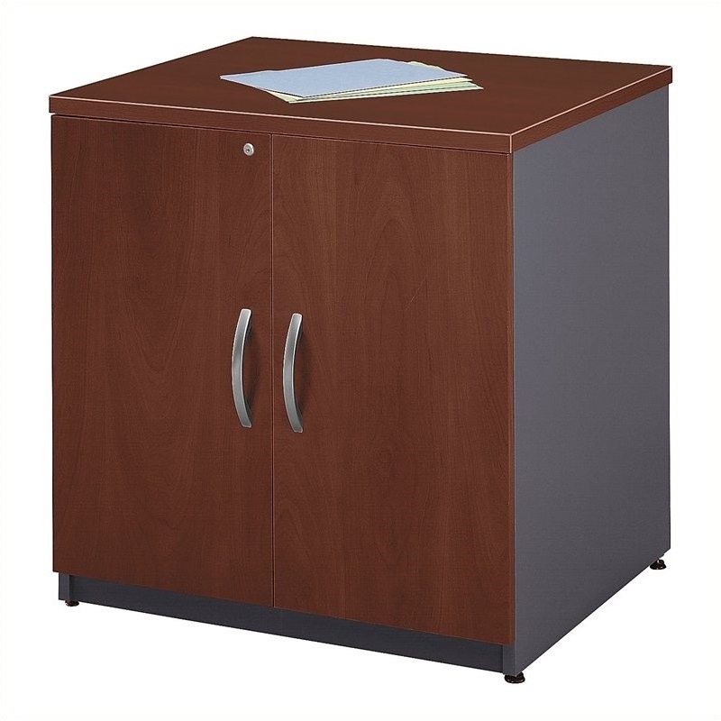 Bowery Hill Contemporary Engineered Wood Storage Cabinet in Cherry