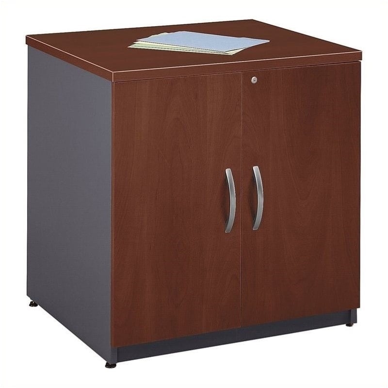 Bowery Hill Contemporary Engineered Wood Storage Cabinet in Cherry