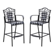 Bowery Hill Iron Patio Bar Stool (Set of 2)