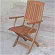 Bowery Hill Wood Patio Folding Chair (Set of 2)